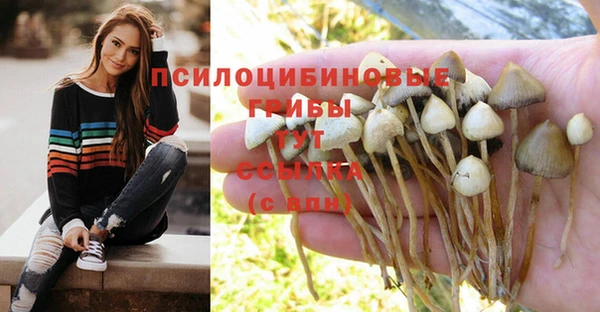 Альфа ПВП Абаза