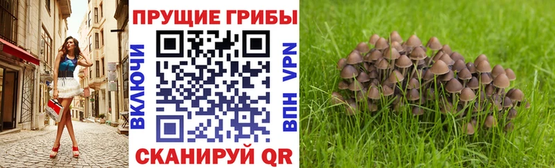 наркота  Альметьевск  shop клад  Псилоцибиновые грибы мухоморы 